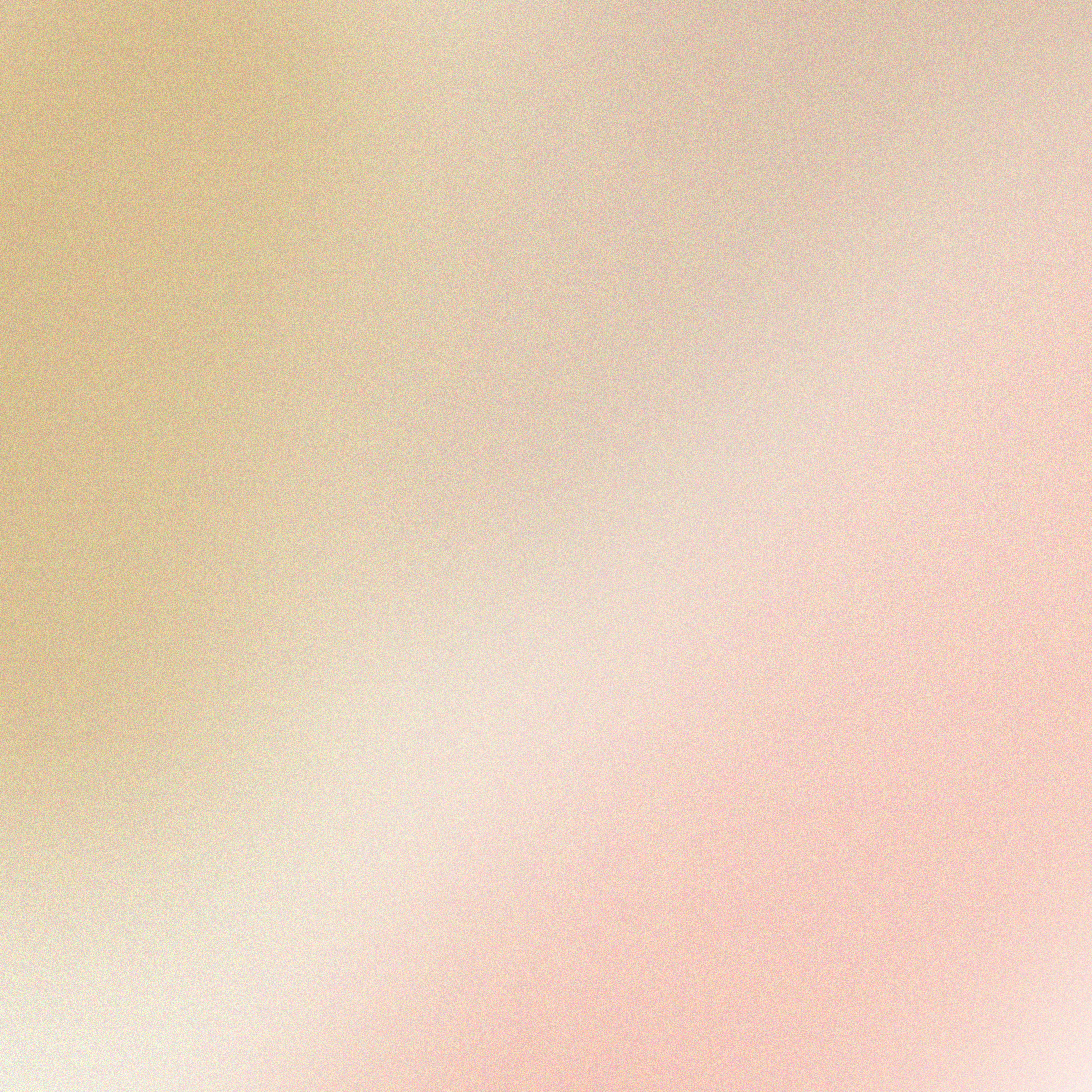 Neutral Earthy Grainy Noise Gradient Background